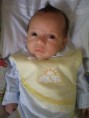 /album/a02%c2%b0%20m%c3%aas%20pedrinho/pc032067-jpg/